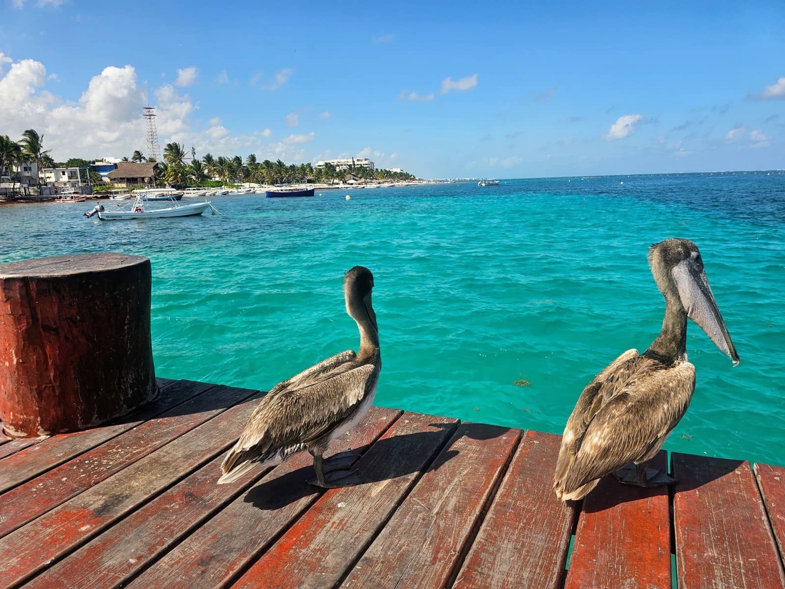 Puerto Morelos