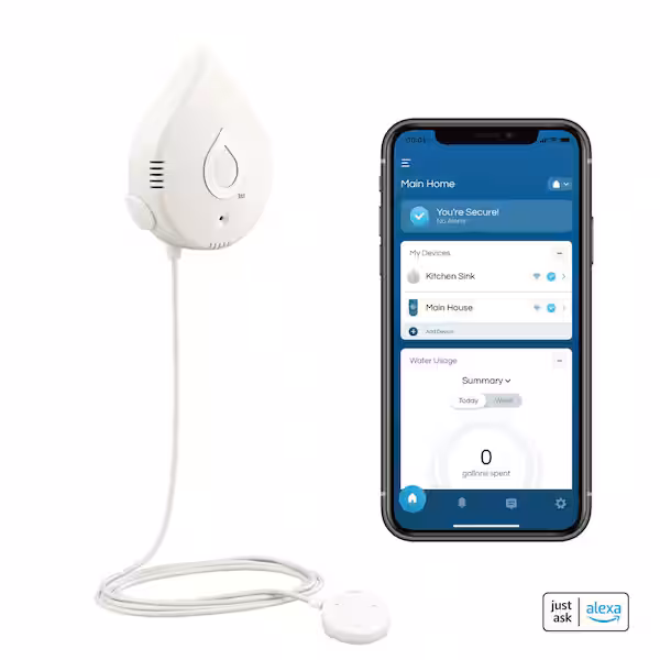 Wireless leak sensor for early water detection